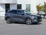 2023 Ford Escape STLINE